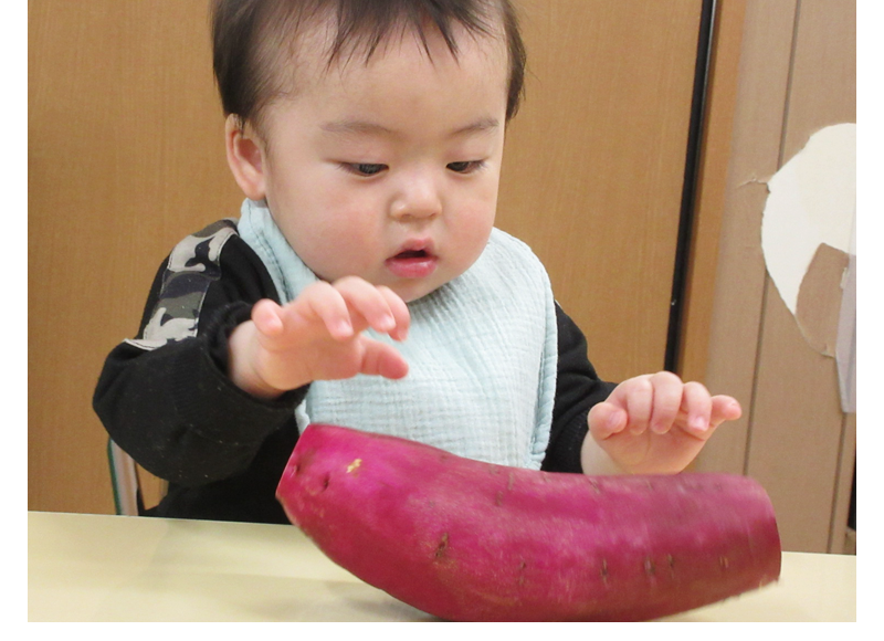 1月 もぐぱく通信 食育 とうもろこしの皮むき